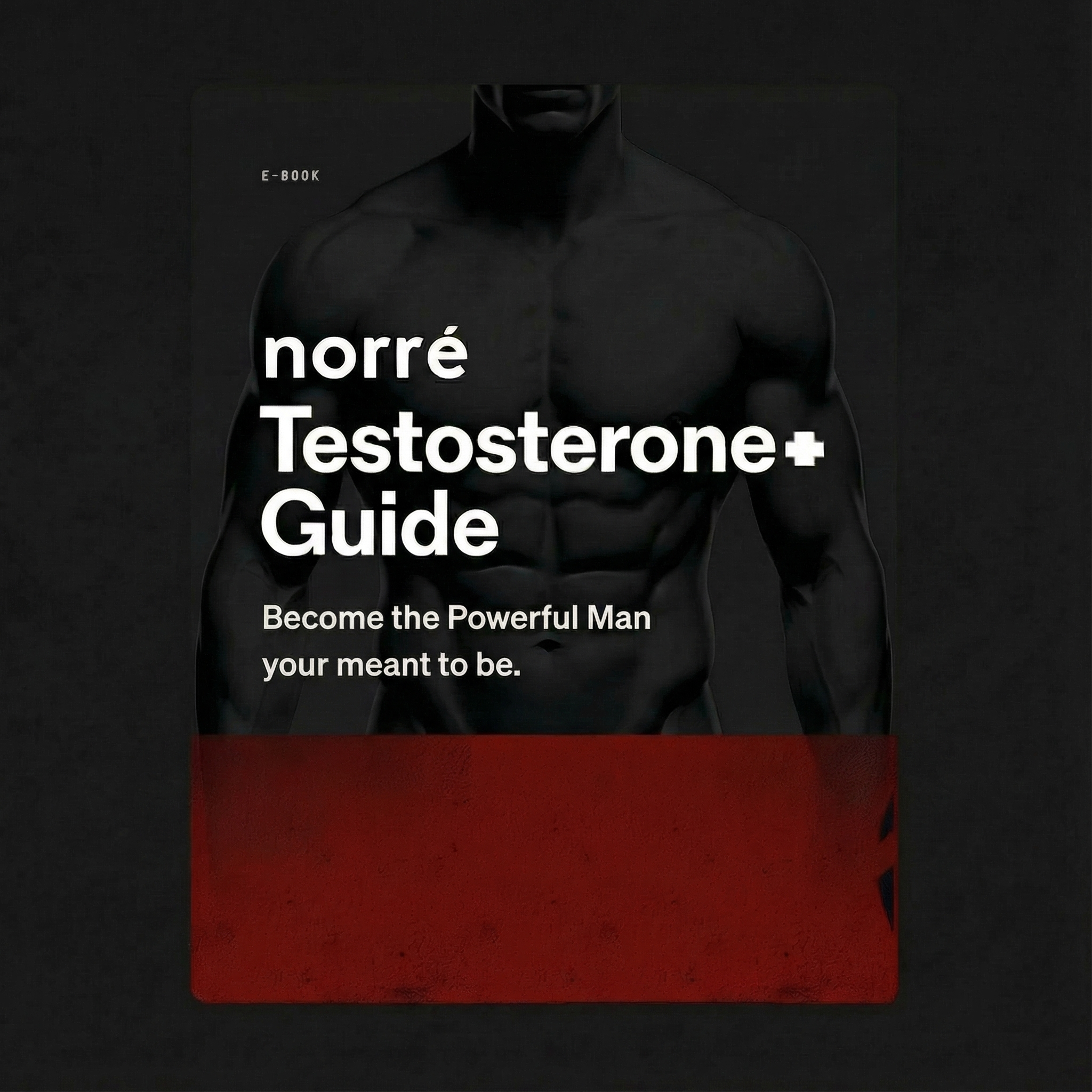 Norré Testosterone+ Guide