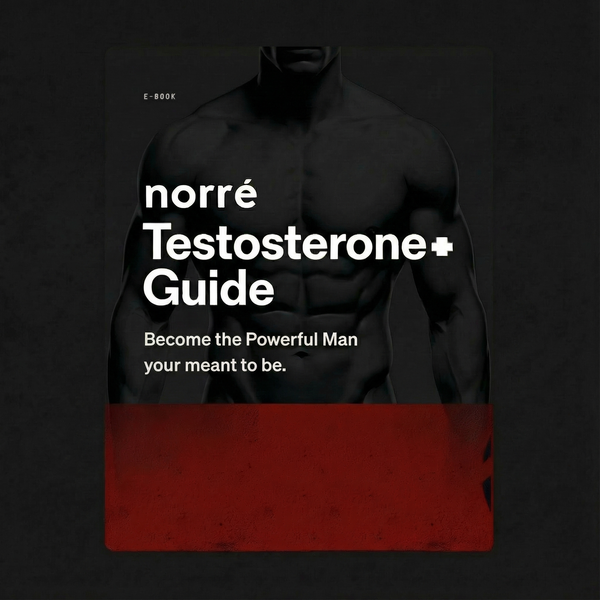 Testosterone E-Book