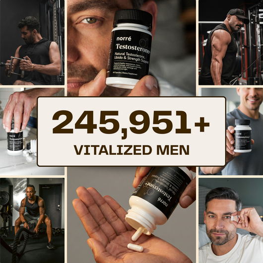 Norré - Testosterone+