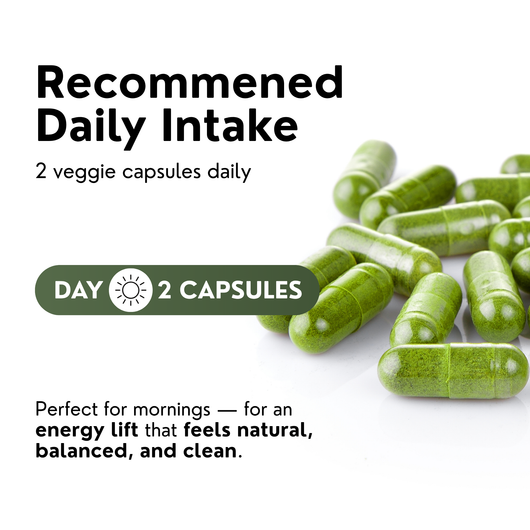 Norré Labs - Moringa+