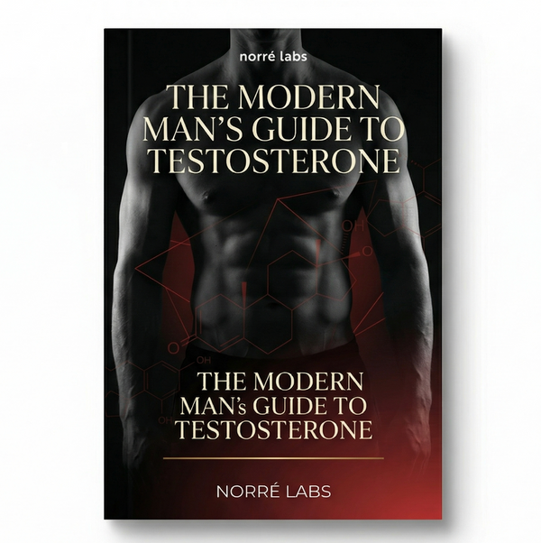 Testosterone E-Book
