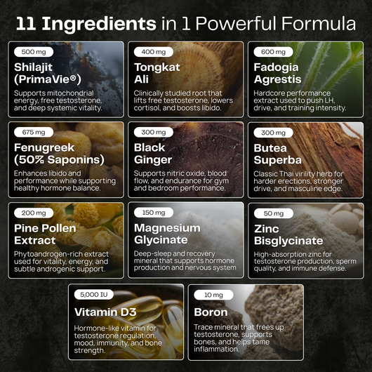 Norré - Testosterone+