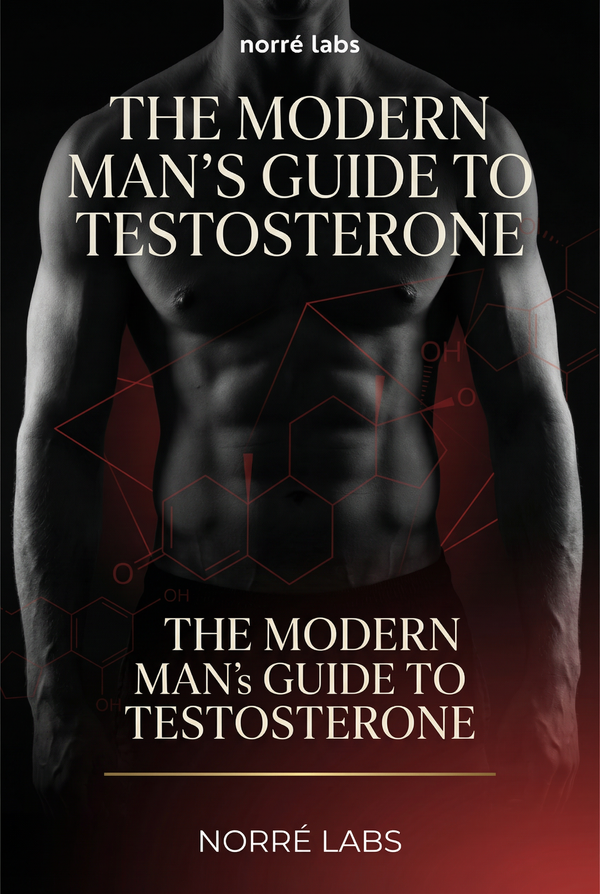 Testosterone E-Book