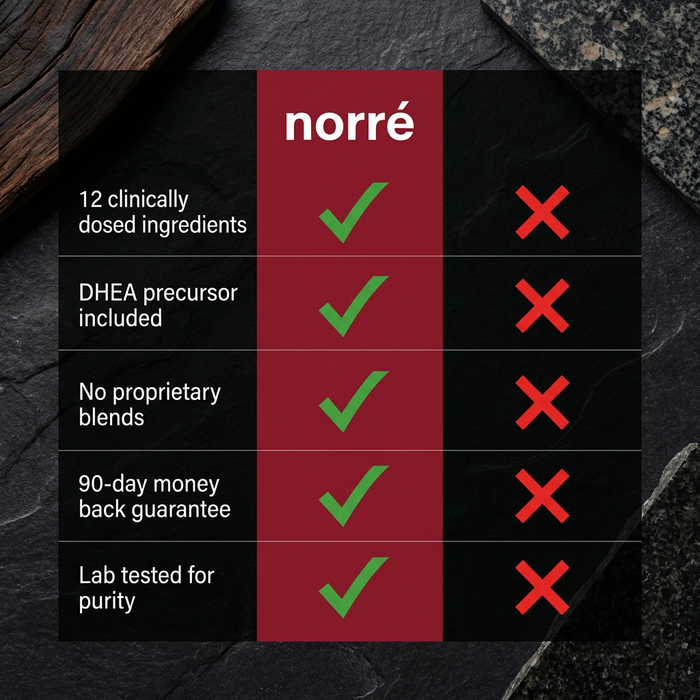 New Norré - Testosterone+